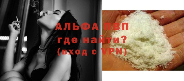 ECSTASY Кукмор