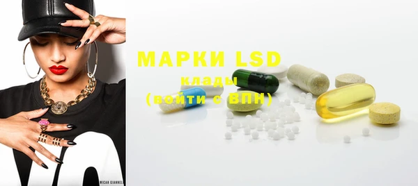 ECSTASY Кукмор
