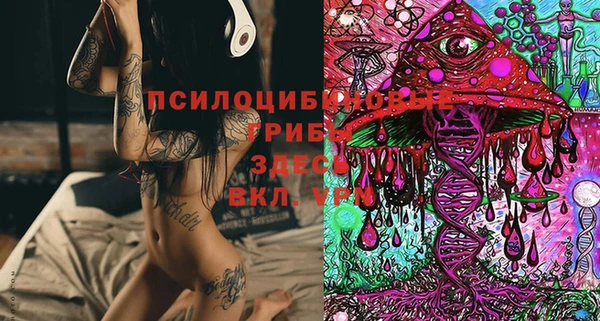 ECSTASY Кукмор